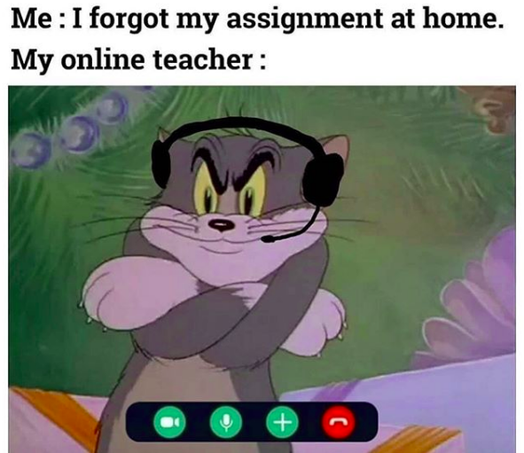 50+ Funny Online School Memes That Every Student Can Relate To