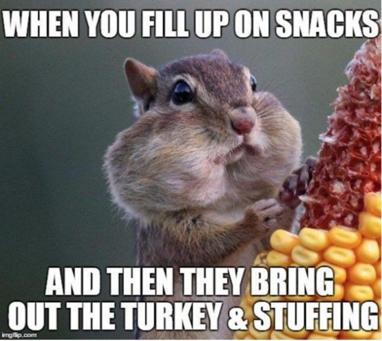50+ Funny Thanksgiving Memes That Will Bring A Smile On Your Face.