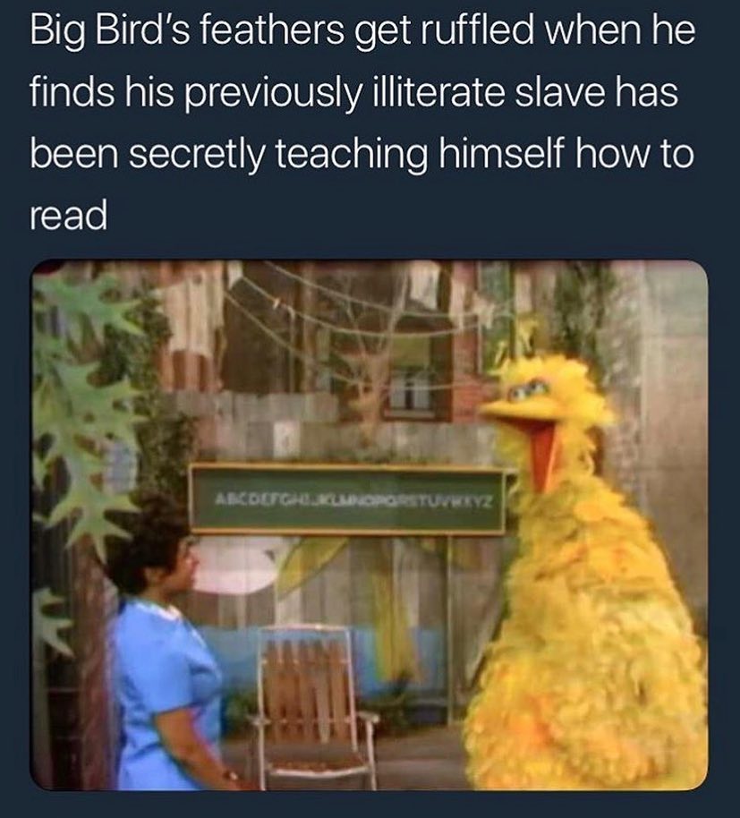 50+ Funny Big Bird Memes That Will Make You Laugh