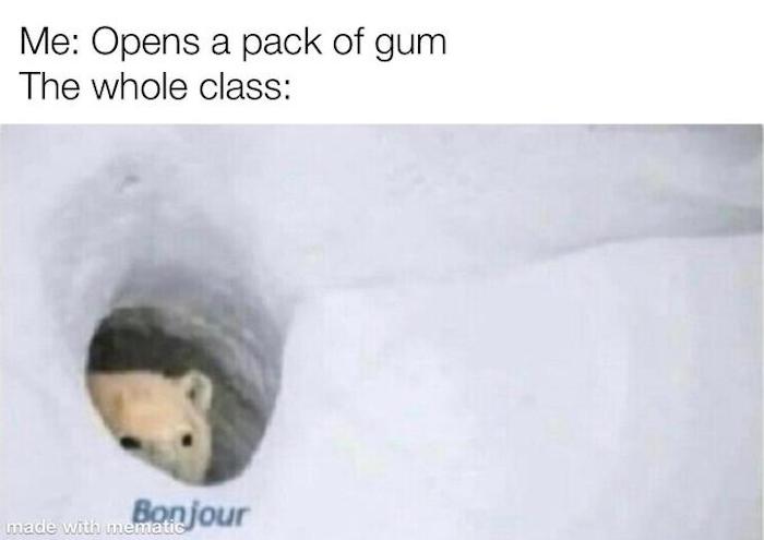 Bonjour Memes