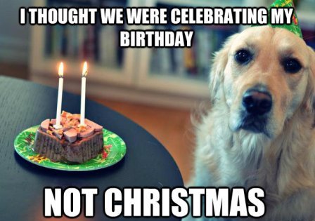 Christmas Birthday Memes 11