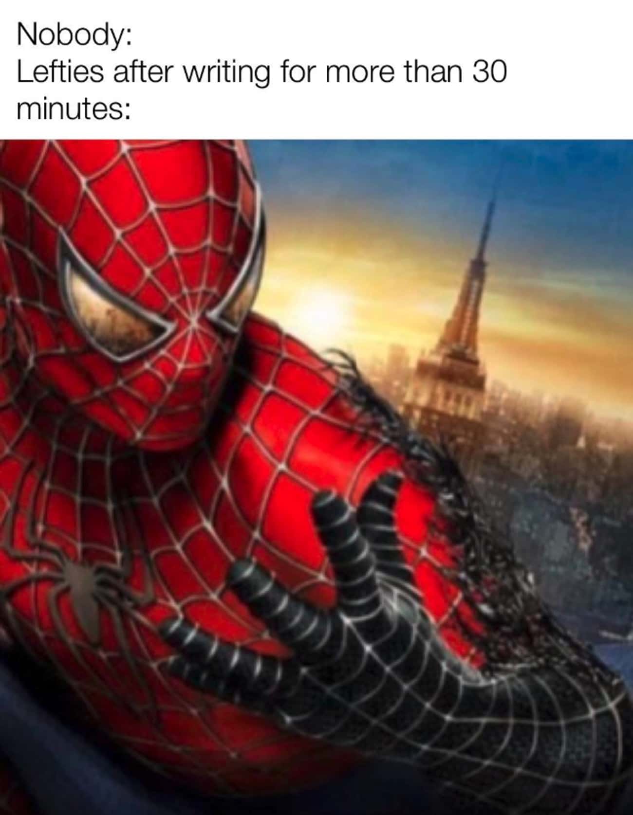 Spiderman memes