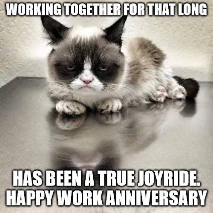 Work Anniversary Memes 8 