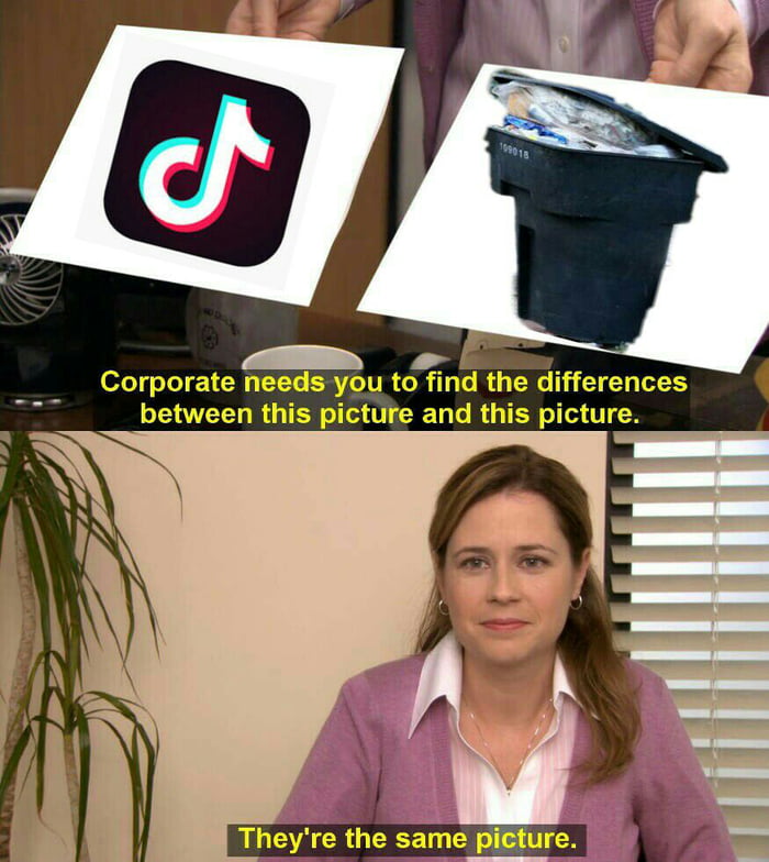 tiktok memes