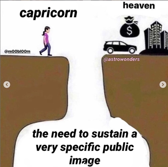 Capricorn Memes