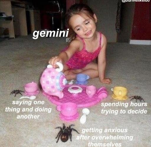 50+ Funny Gemini Memes That Are Relatable AF