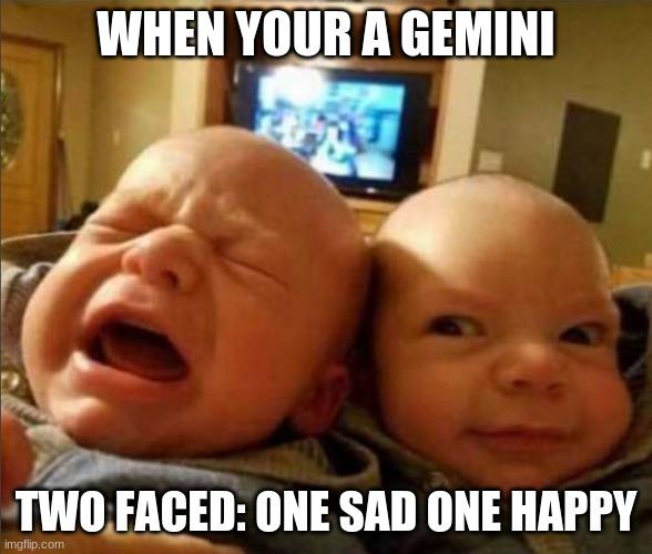 Gemini Memes