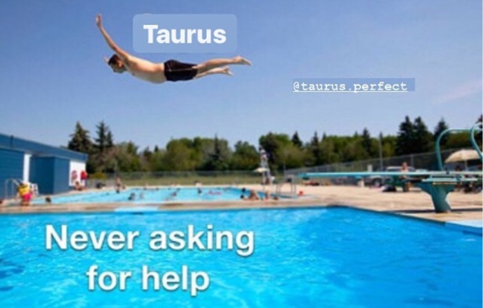 Taurus Memes