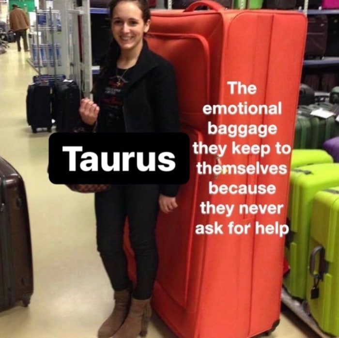 Taurus Memes