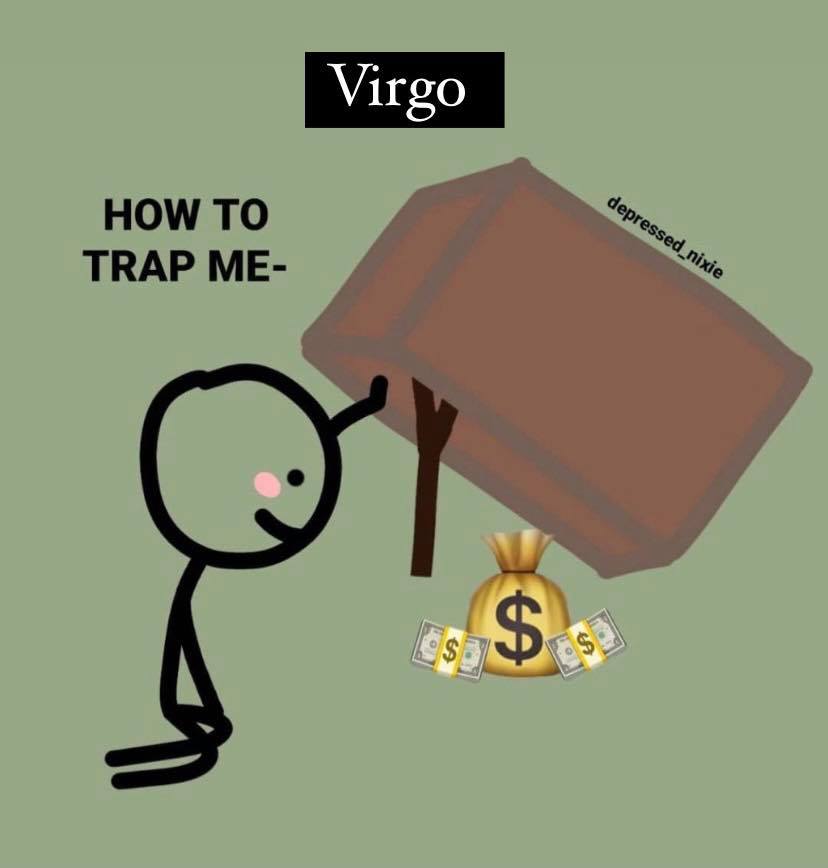 Virgo Memes