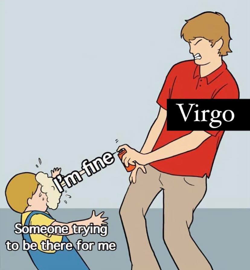 Virgo Memes