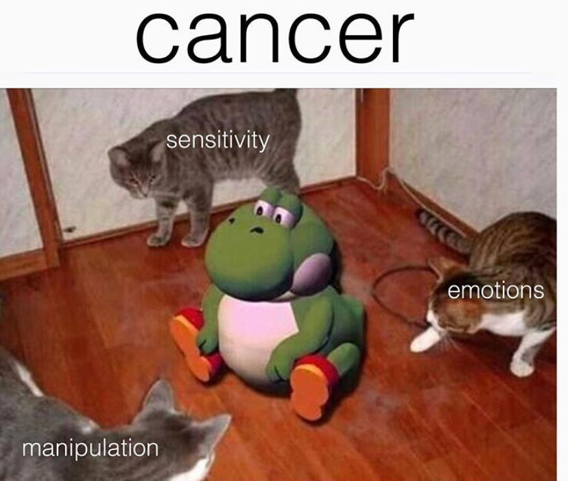 cancer memes 