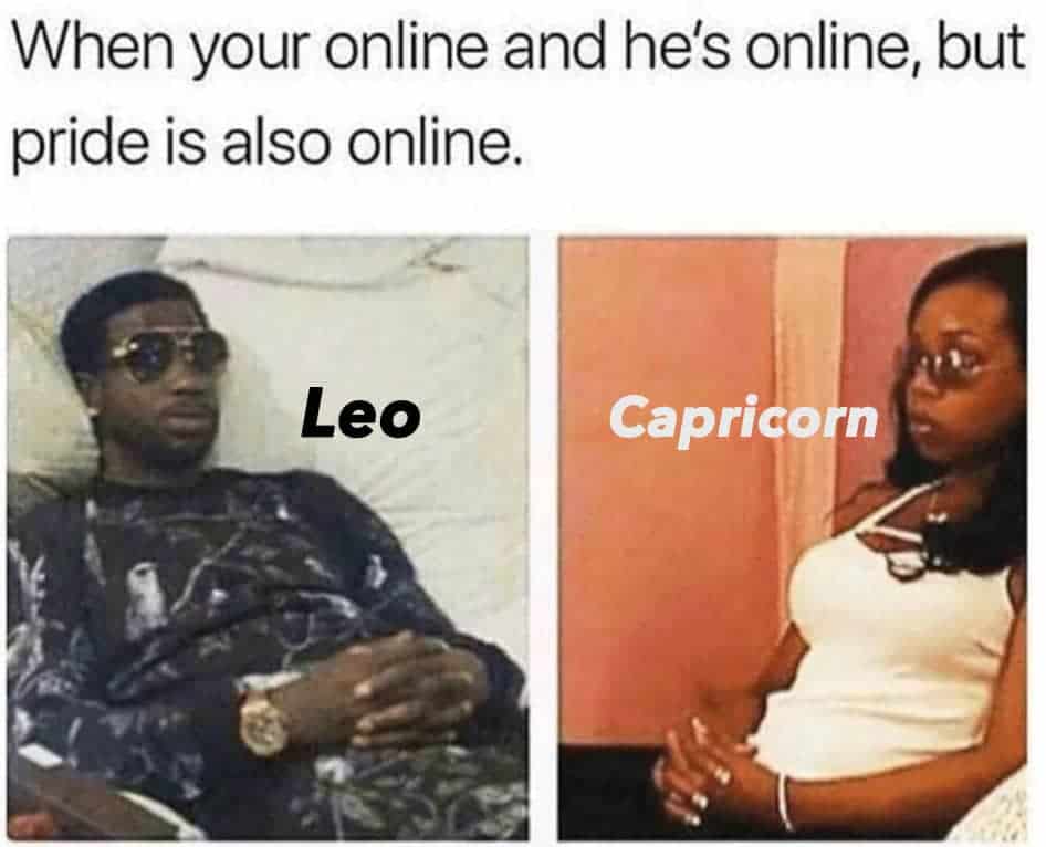 50+ Funny Leo Memes That Will Make You LOL