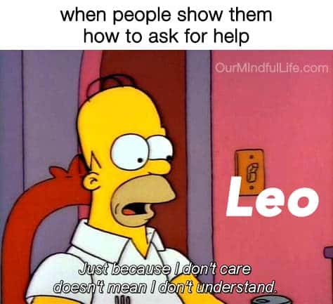 50+ Funny Leo Memes That Will Make You LOL