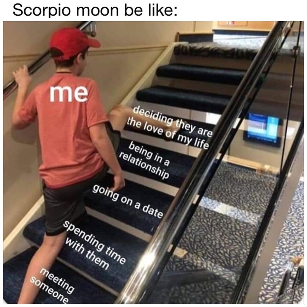 scorpio memes