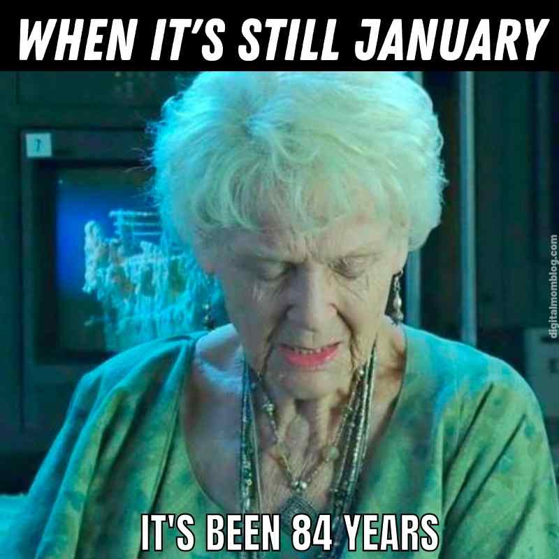 January Memes