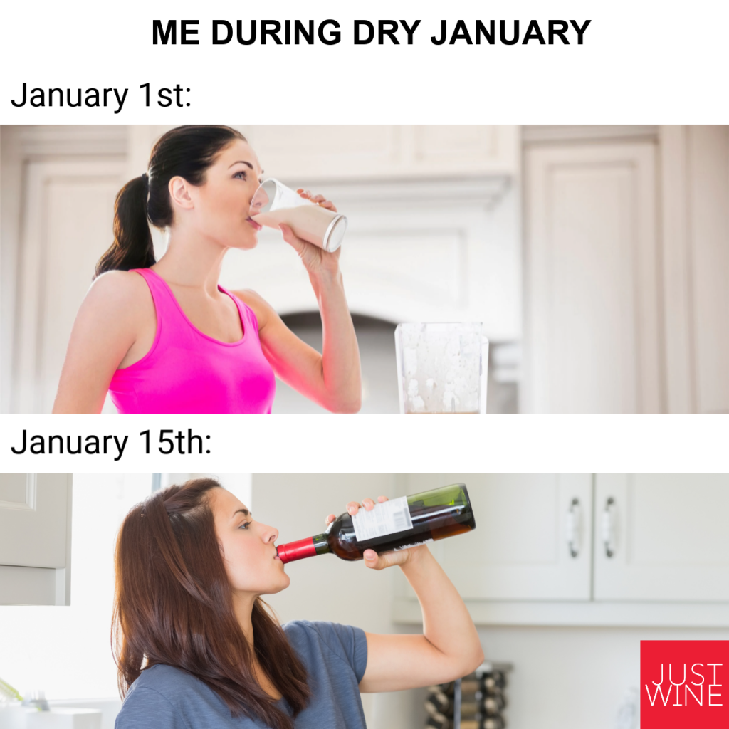 50+ Funny January Memes That Perfectly Sum Up The First Month Of Year