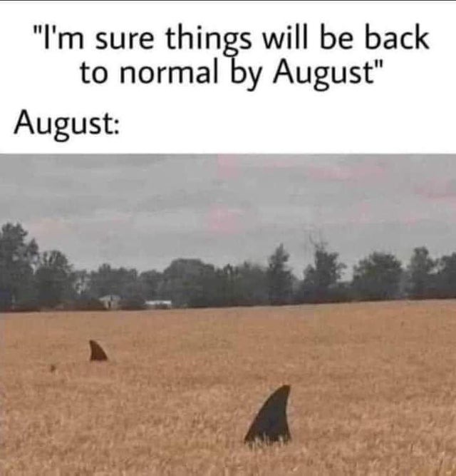 august memes