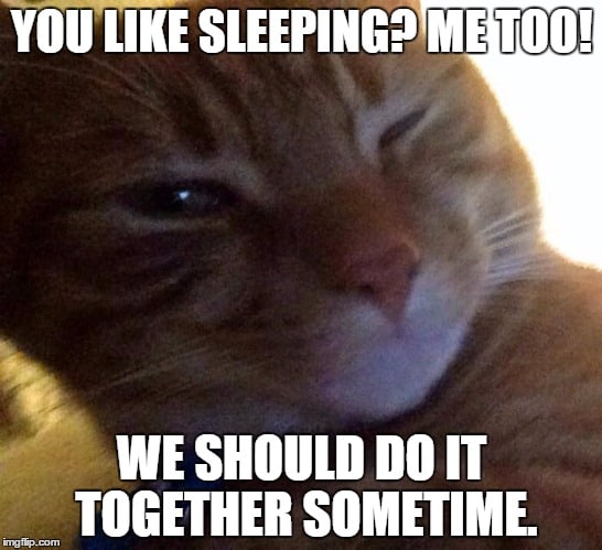 50 Flirty Memes to Make That Special Someone Giggle