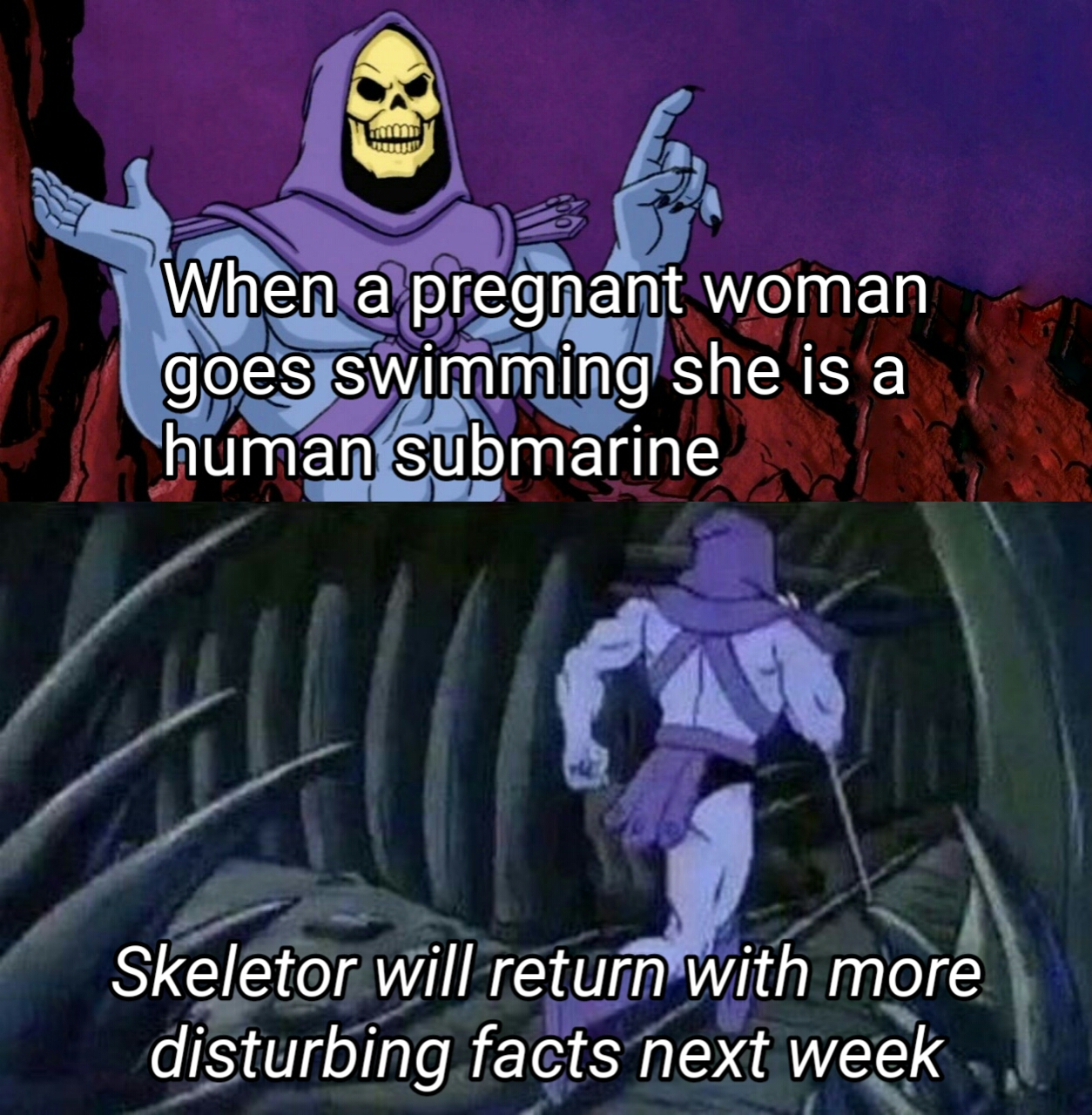 best of skeletor