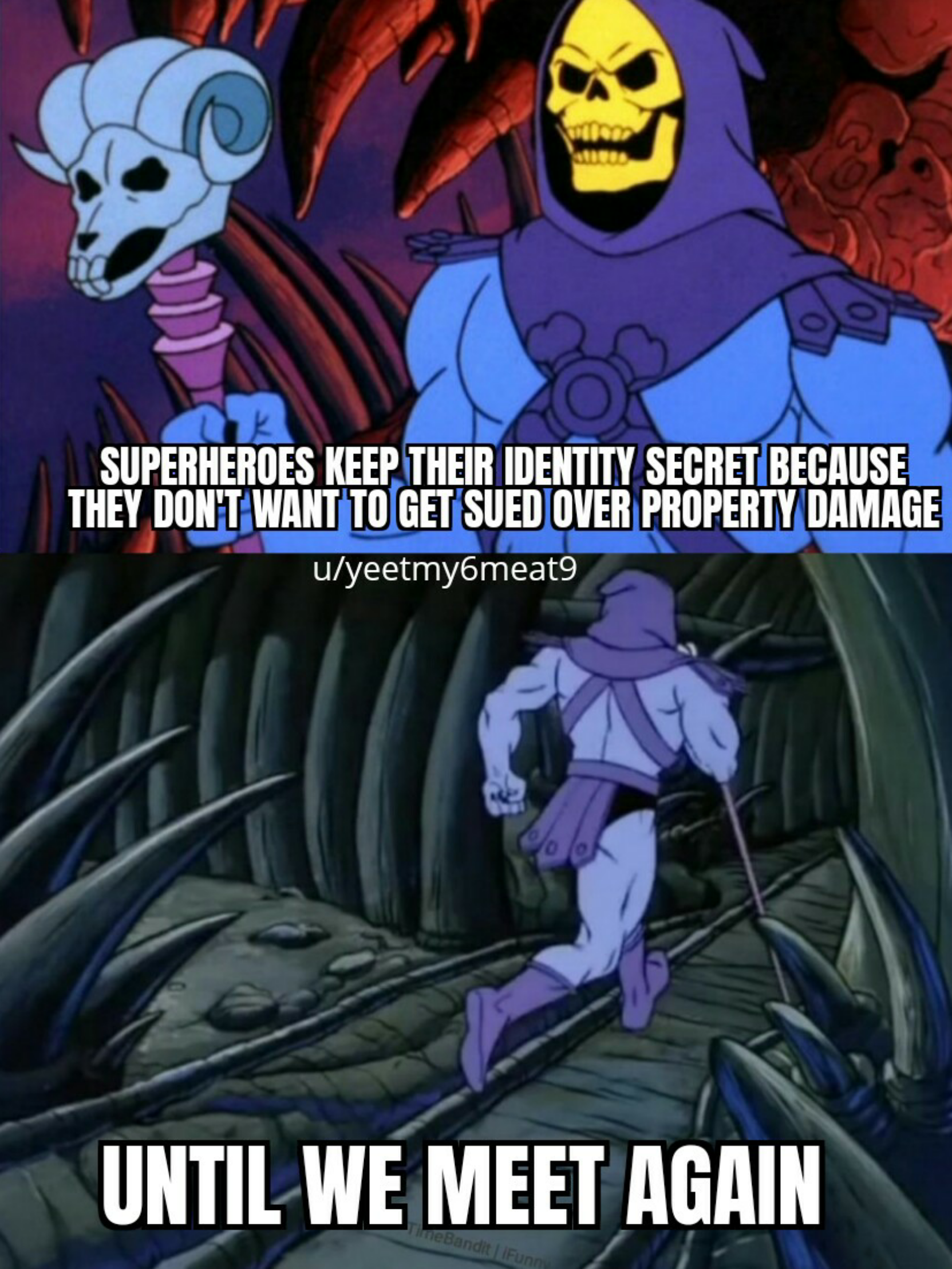 Skeletor Memes