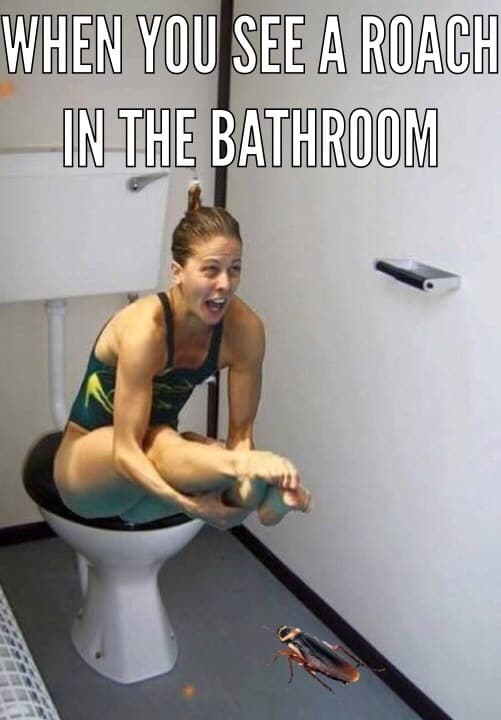 Bathroom Meme