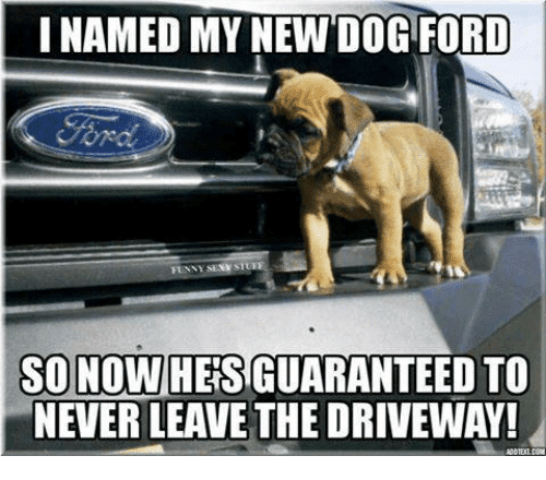 50+ Funny Ford Memes That Will Make You Laugh