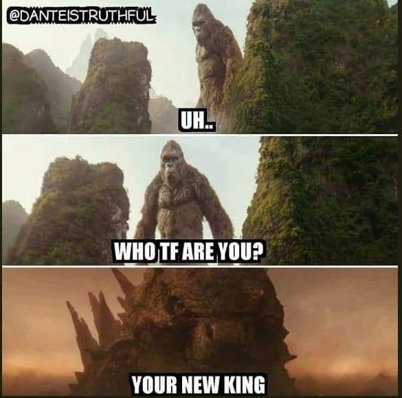 Godzilla-vs-king-kong-memes-8.jpeg