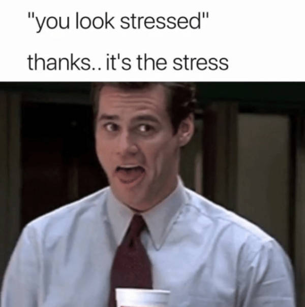 stress memes