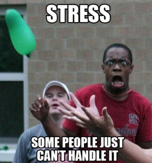 stress memes