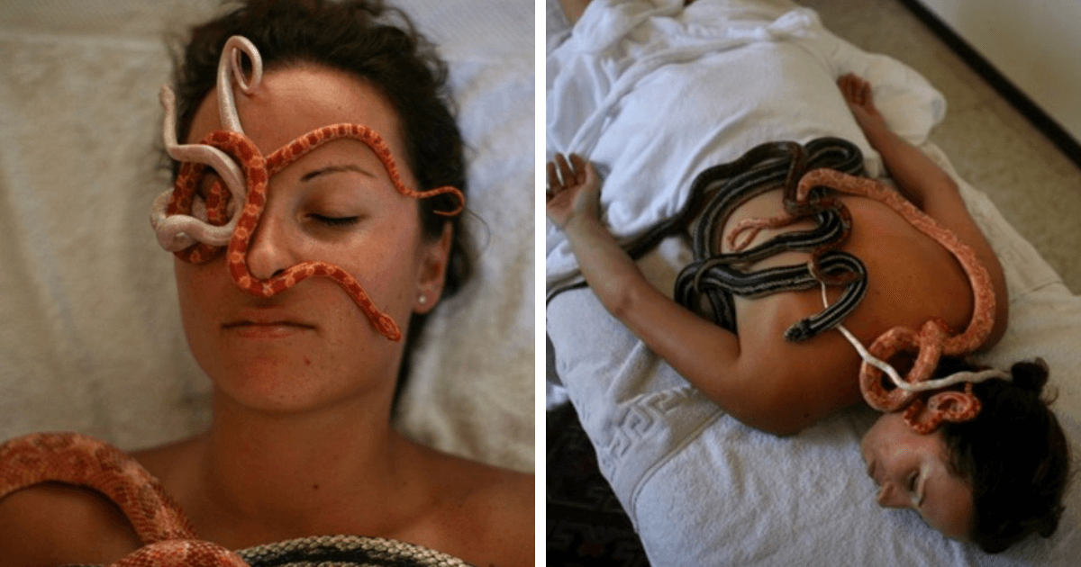 Egyptian Spa Offers Snake Massage To Customers And The Internet Is Terrified