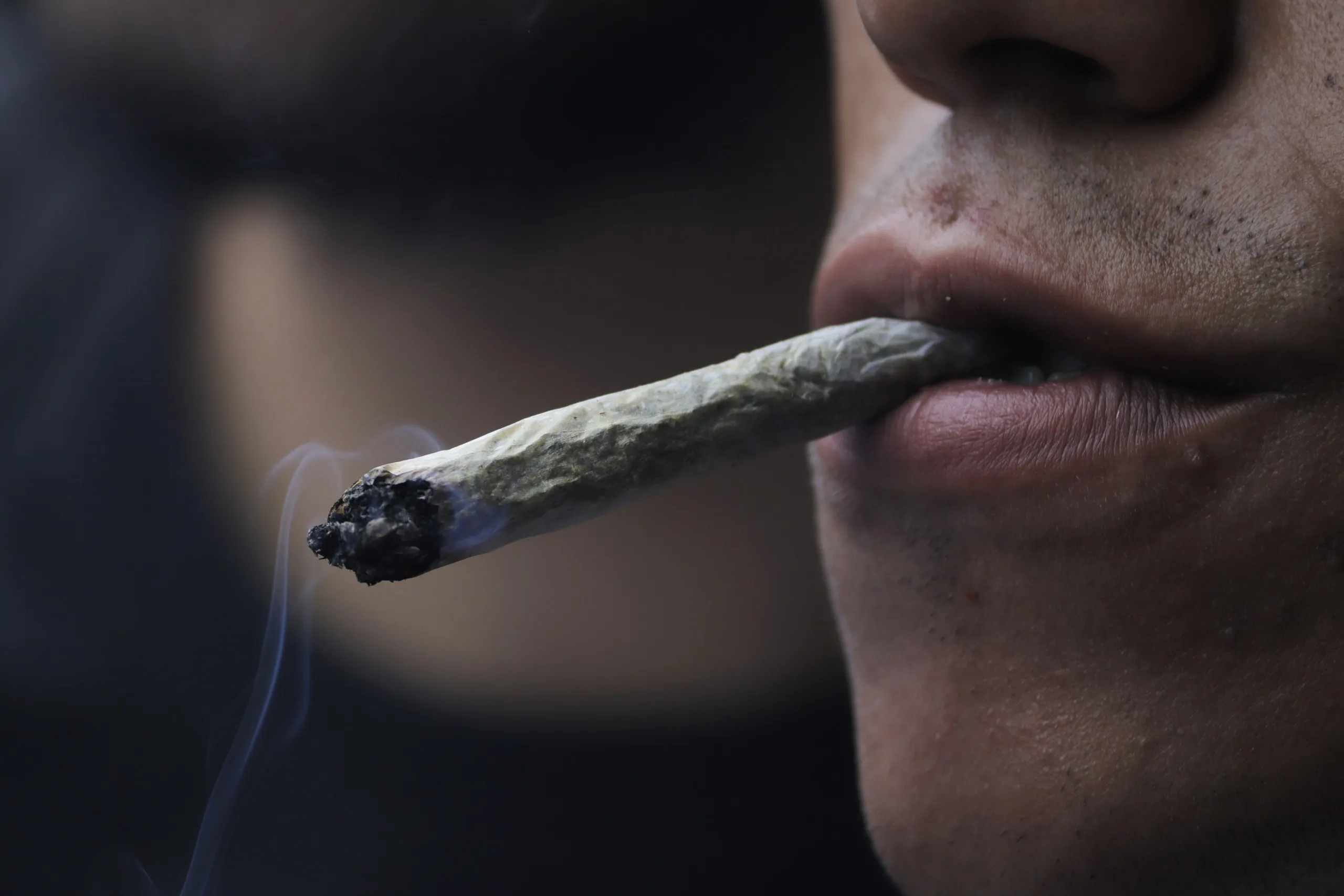 Cannabis Company Sued By Weed Lovers