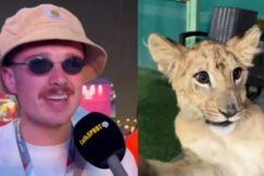 England Football Fans Went Beer Hunting In Qatar, Ends Up In A Sheikh Palace That Had A Pet Lion