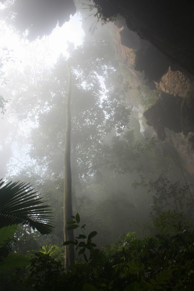 Son Doong Cave 