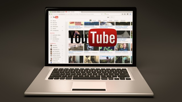 Understanding The YouTube Video Ranking