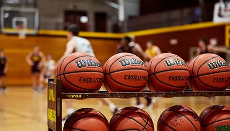 Wilson Evolution Basketball Prime Day Deals