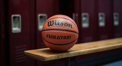 Wilson Evolution Basketball Labor Day Deals
