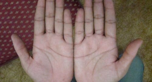 what Half moon Means In Palmistry