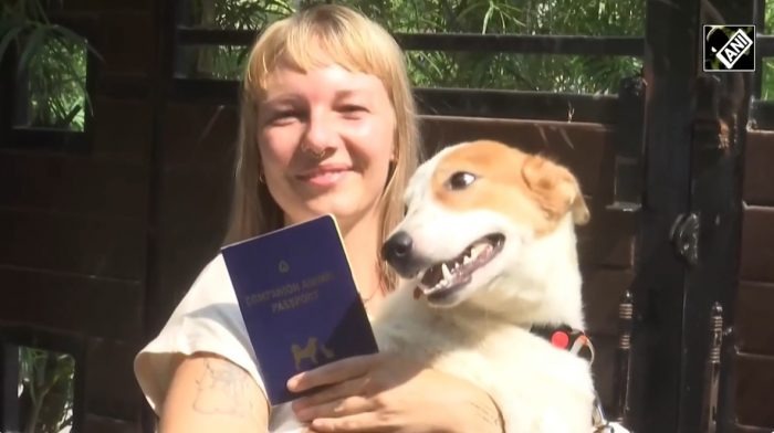 Varanasi Street Dog, Jaya Is All Set To Fly To Netherlands